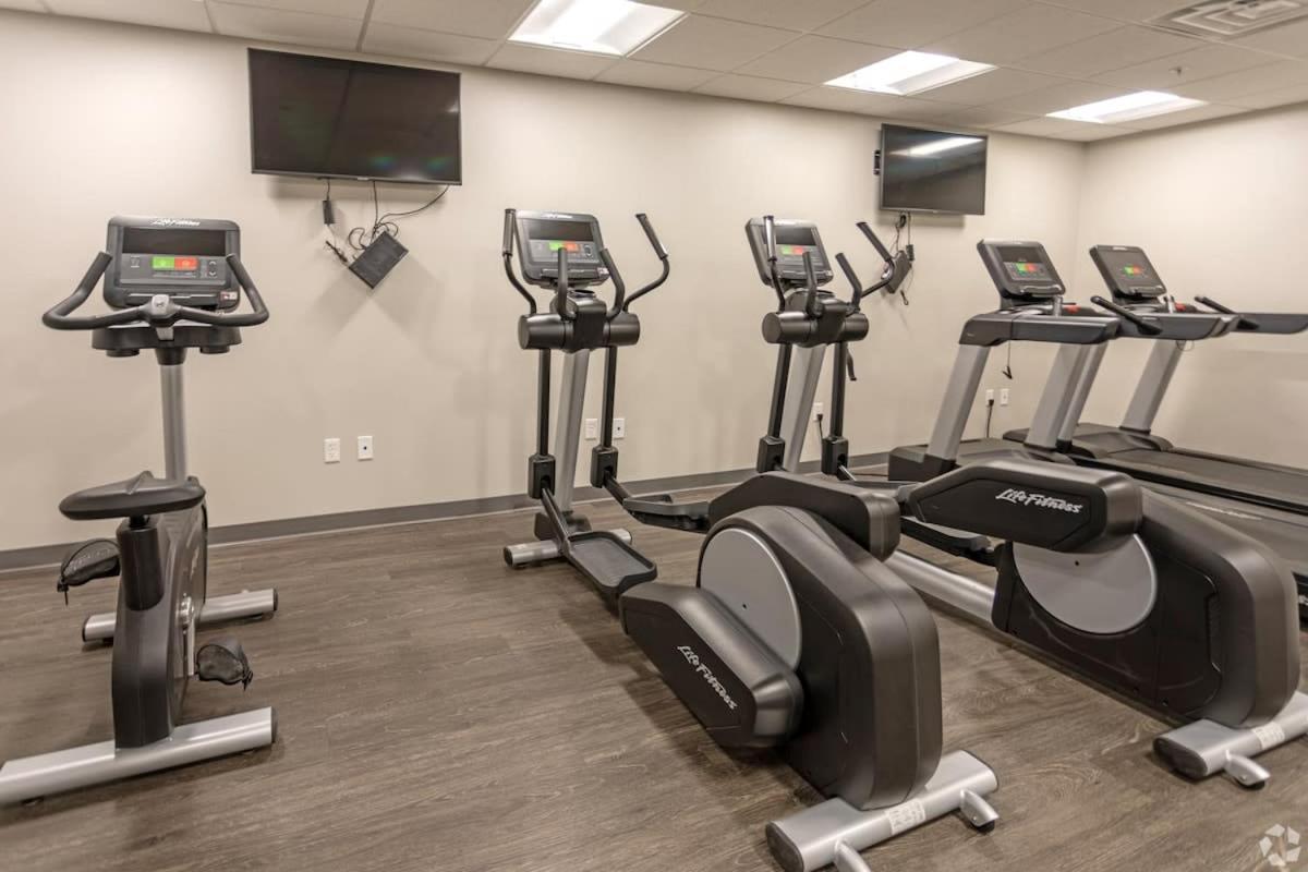 2 Bedroom Brand New Apartment Near Mayo, Park Free 로체스터 외부 사진